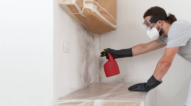 Professional Commercial Mold Remediation technician working in Medford, NY